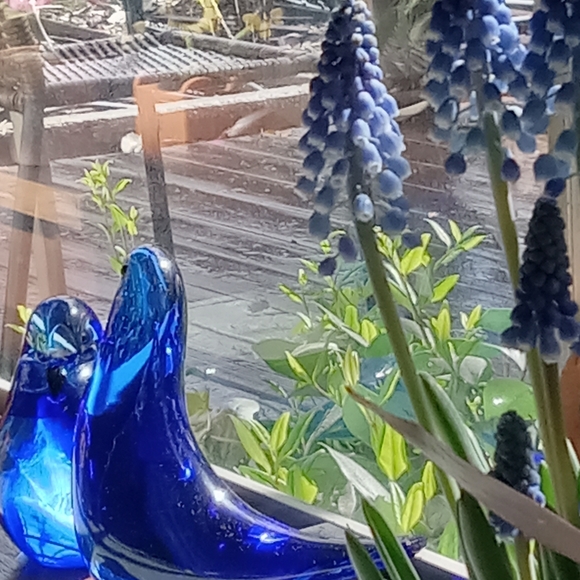 More about myself - Picture 9 of 12